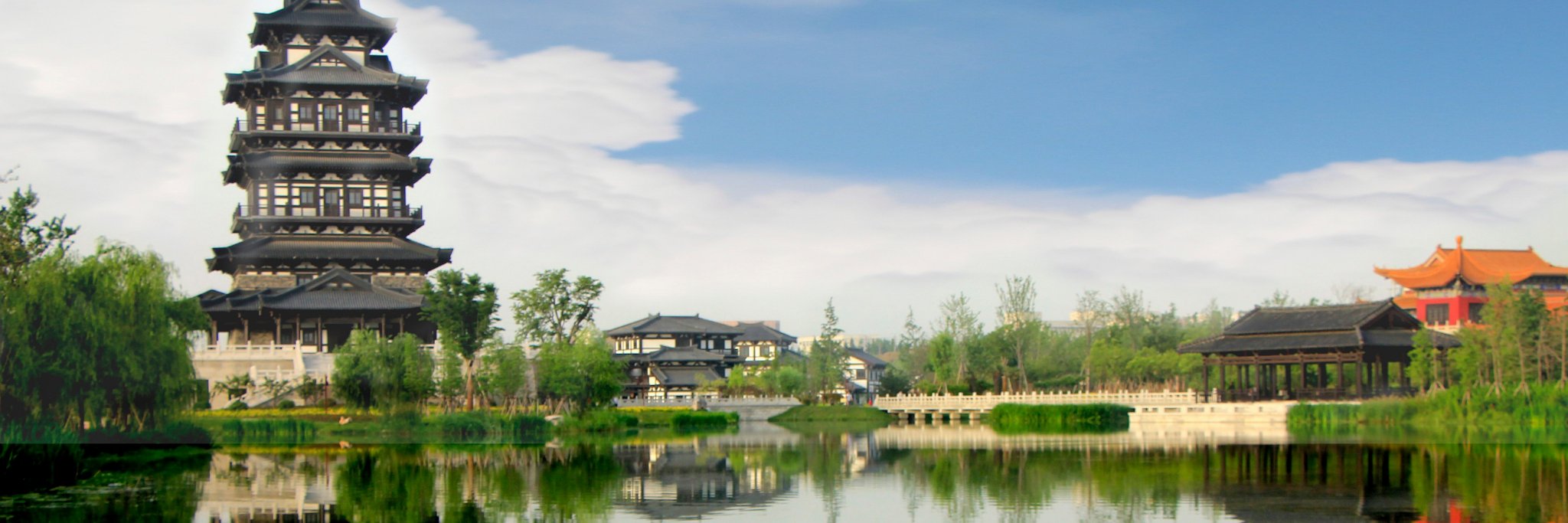 Coolwcat's banner