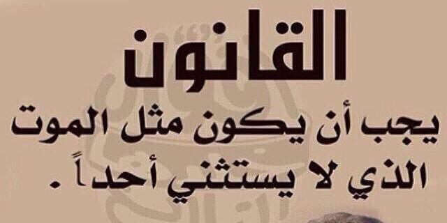 أ. منى العجمي 🇰🇼🌼's banner