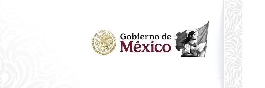 SEMAR México's banner