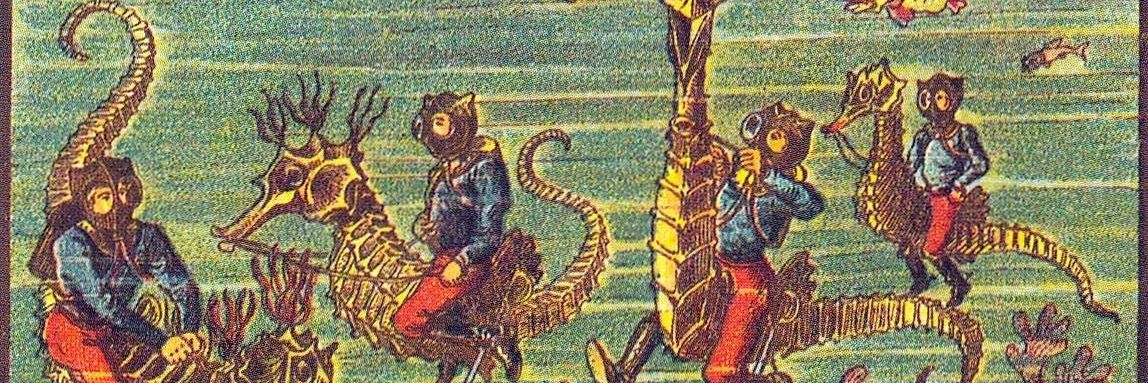 Fede's banner