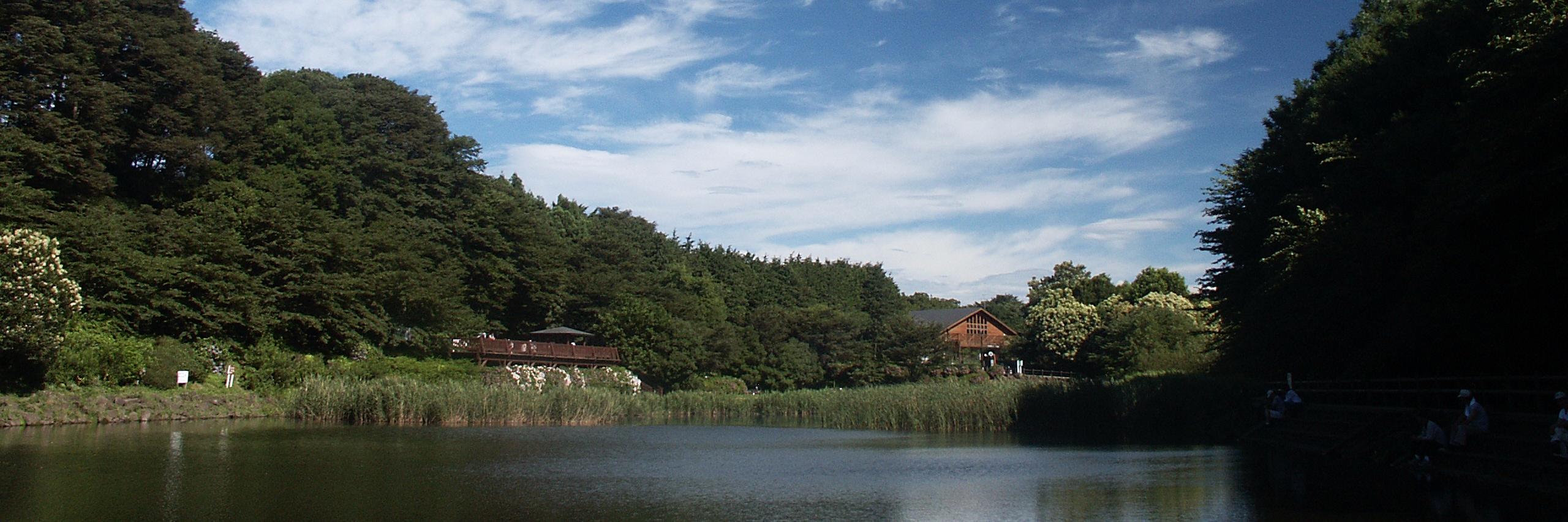 大和市自然観察センター（泉の森）'s banner