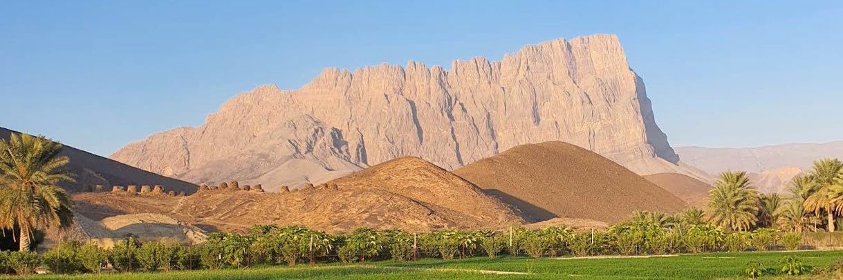 طاهر بن مبخوت الجنيبي's banner