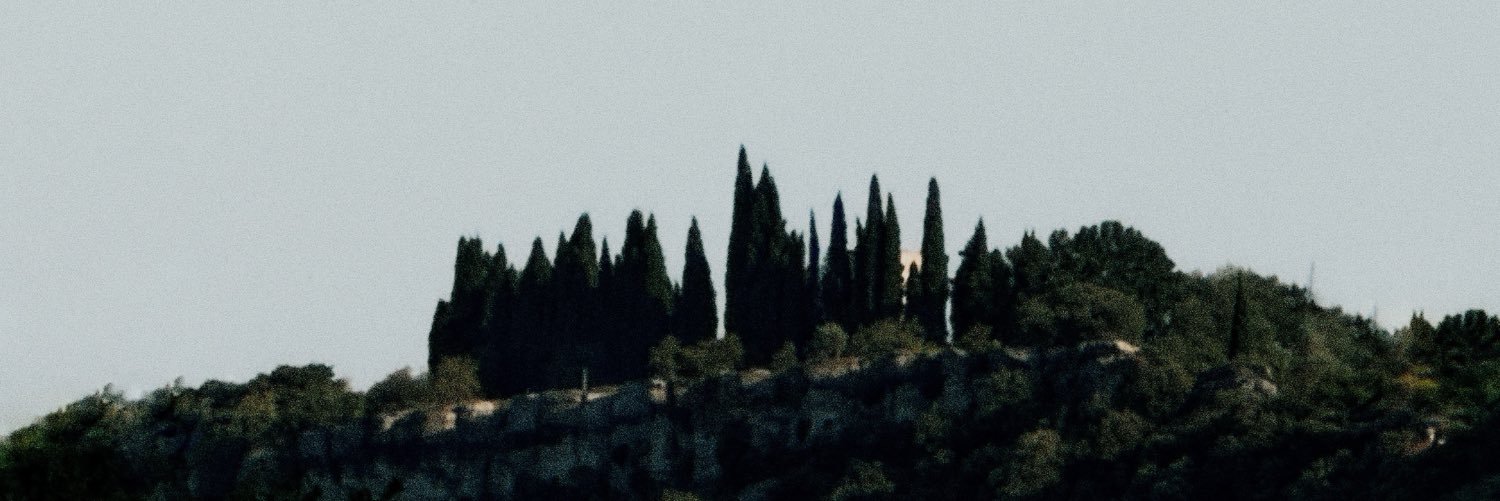 ʏᴍɢᴜʏ's banner