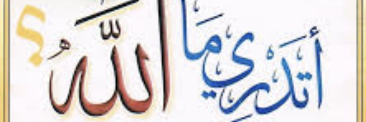 Mizar's banner