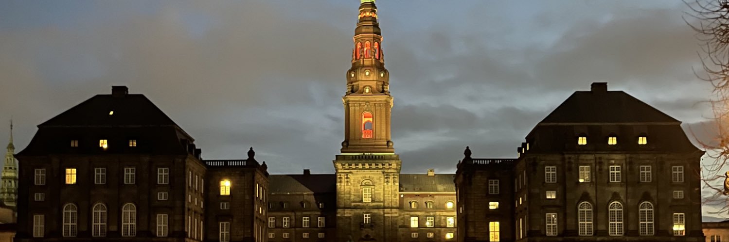 Pernille Vermund's banner