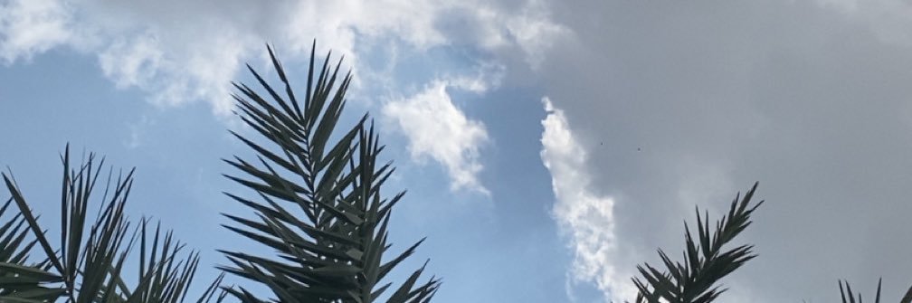 rhmah__35's banner