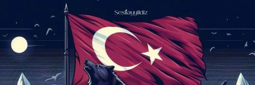 FİRDEVS 🇹🇷͜͜͡͡✯'s banner