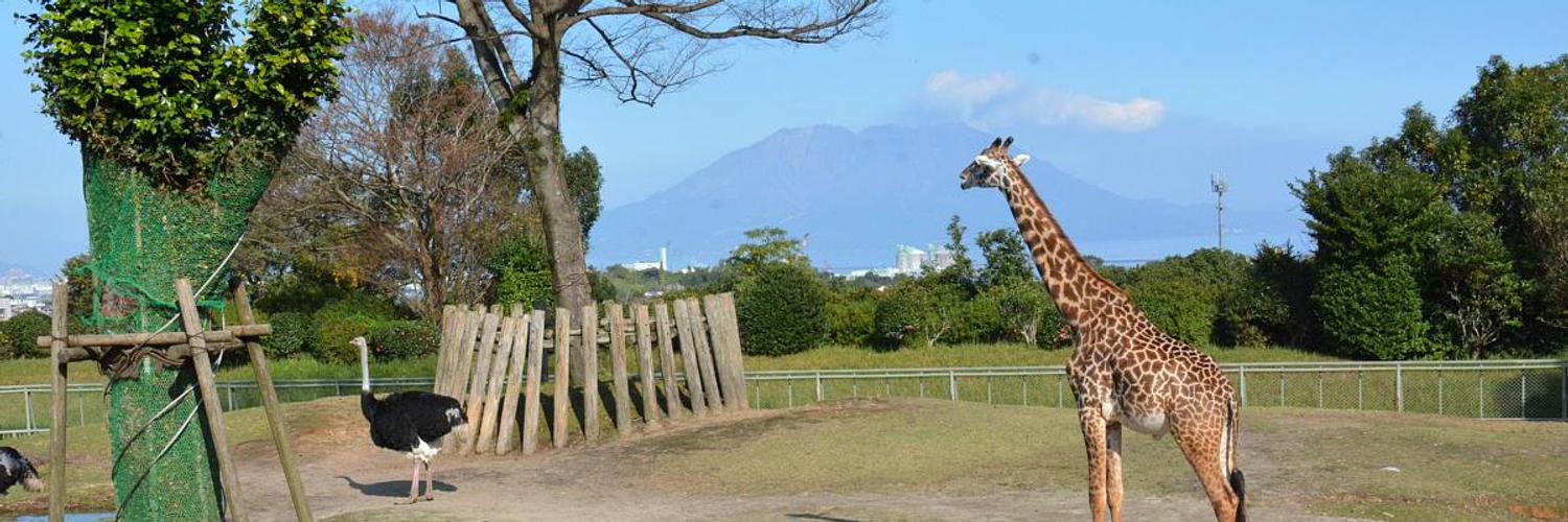たてめおやじ's banner