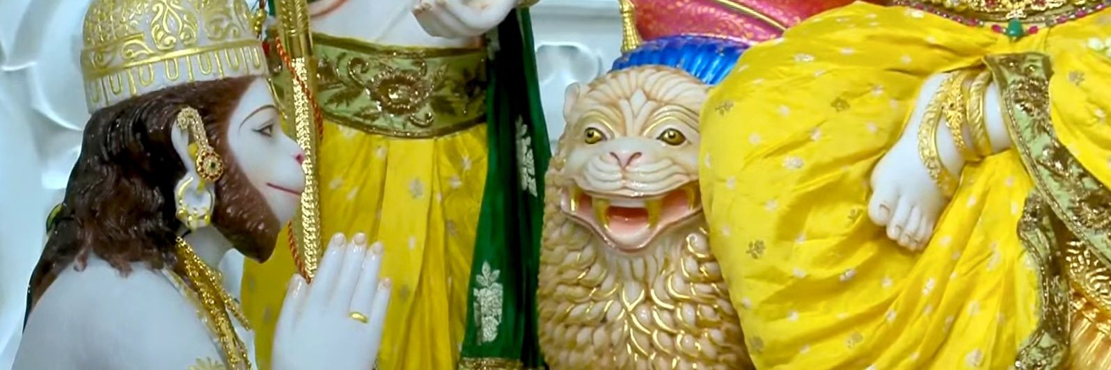 जेंटल मैन 🪷's banner