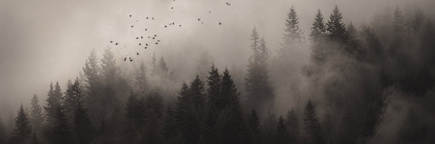 App Hunter 's banner