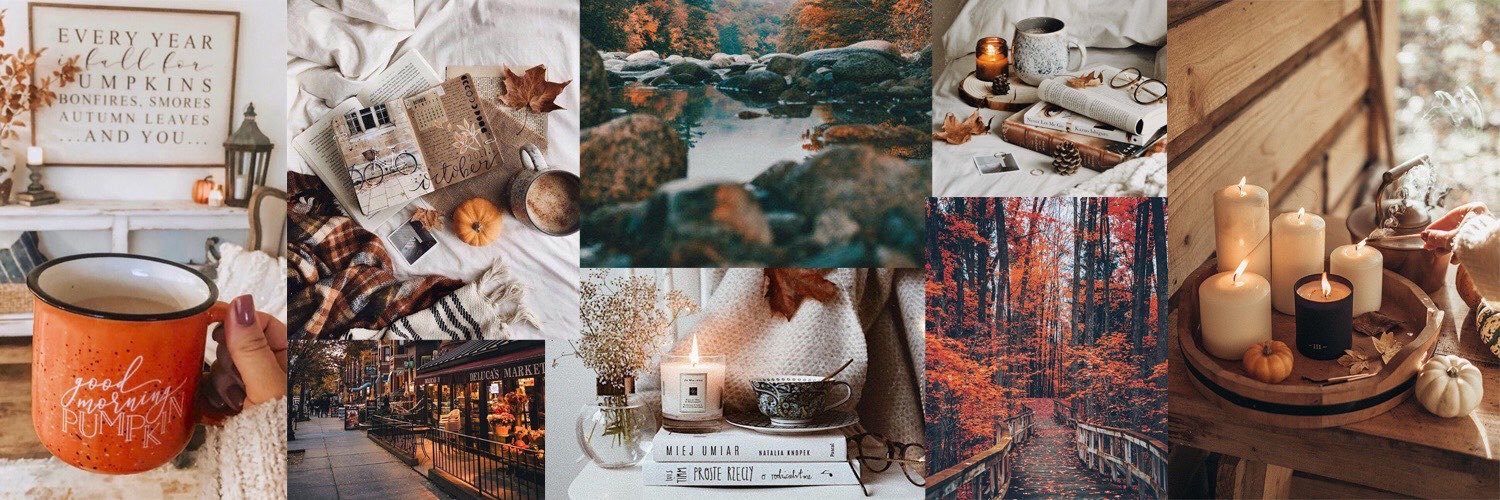 anna 🍂's banner