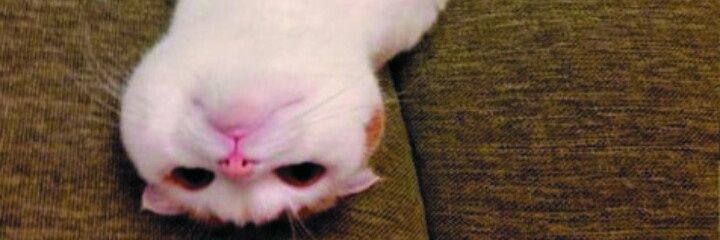 ~❤ MG ❤~'s banner