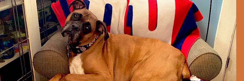 Jessie ✰ Lynn's banner