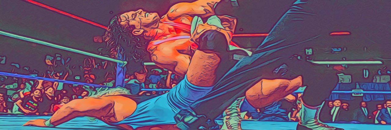 Rob Wilkins of Fightful.com's banner