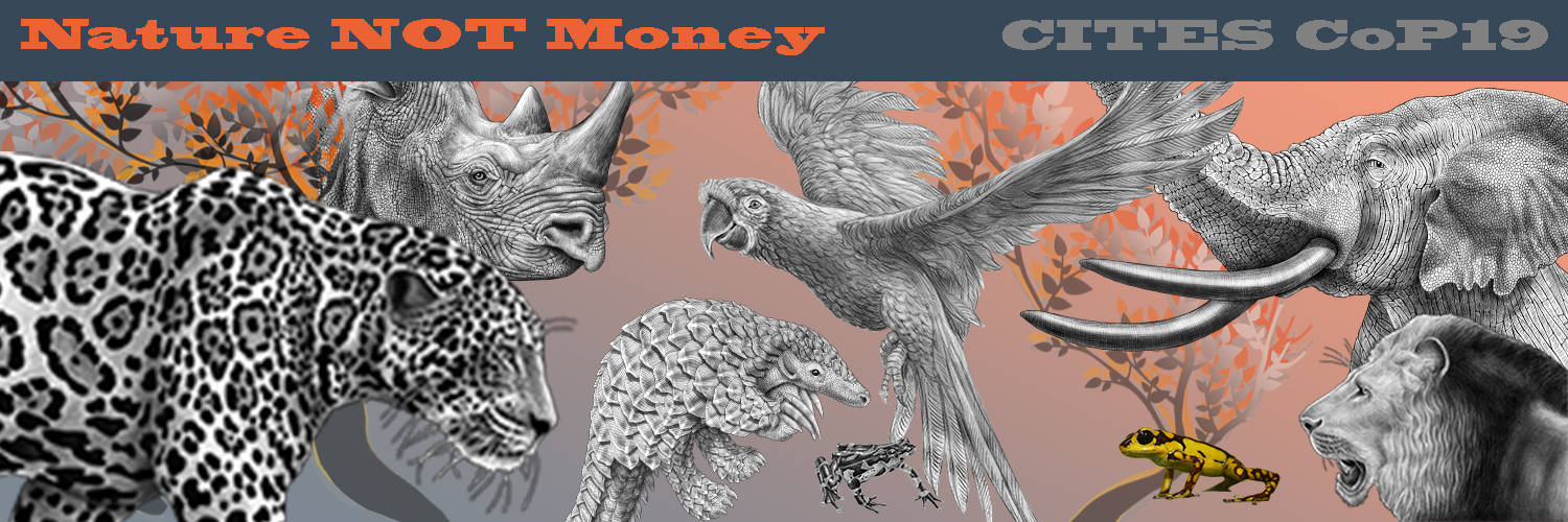 March4ElesAndRhinos's banner