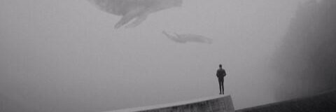 سلسونغ✨'s banner