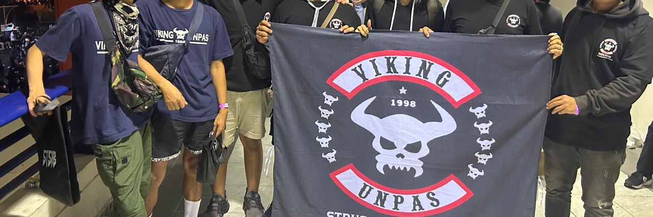 VIKING UNPAS's banner