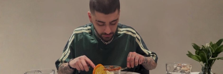 ✧⋆*｡emi | proud of zayn 🌪️🐆's banner