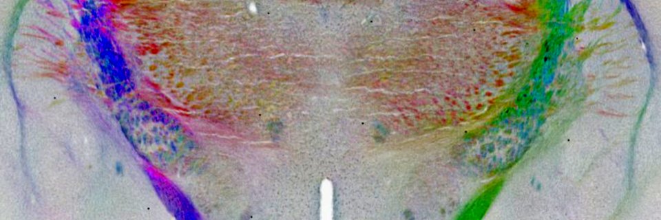 Shalin Mehta's banner