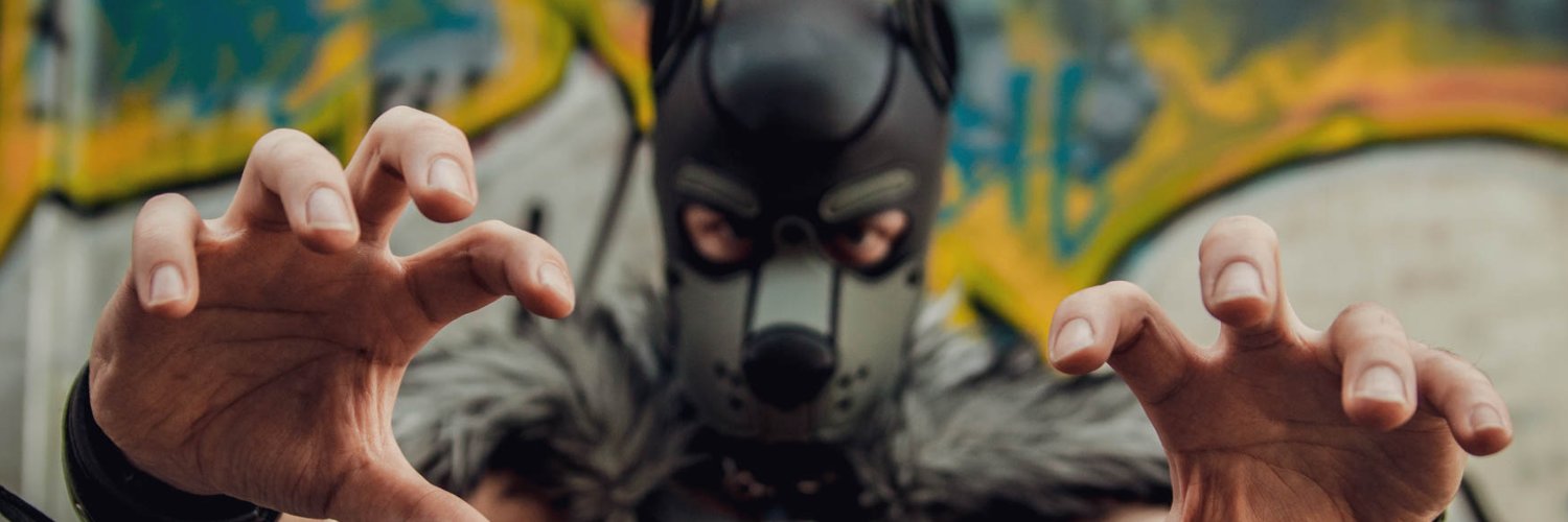 PupAmp's banner