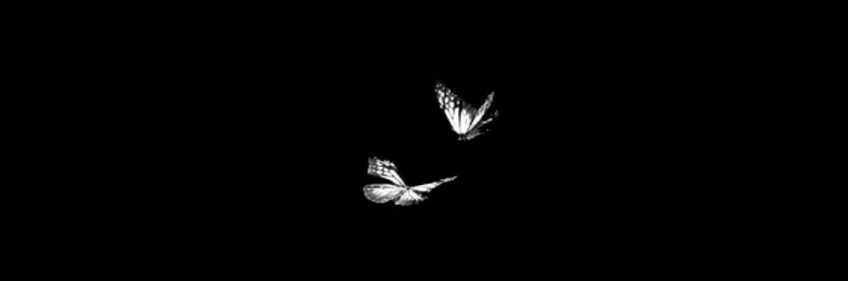 عبير's banner