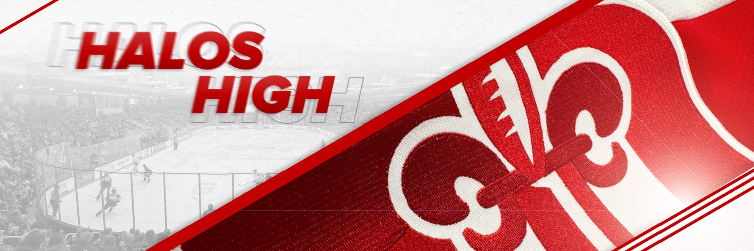 Dubuque Fighting Saints's banner