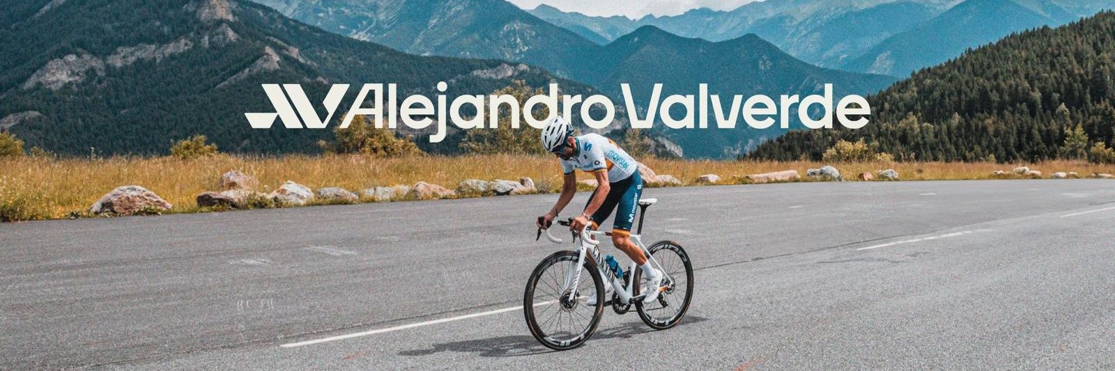 Alejandro Valverde's banner