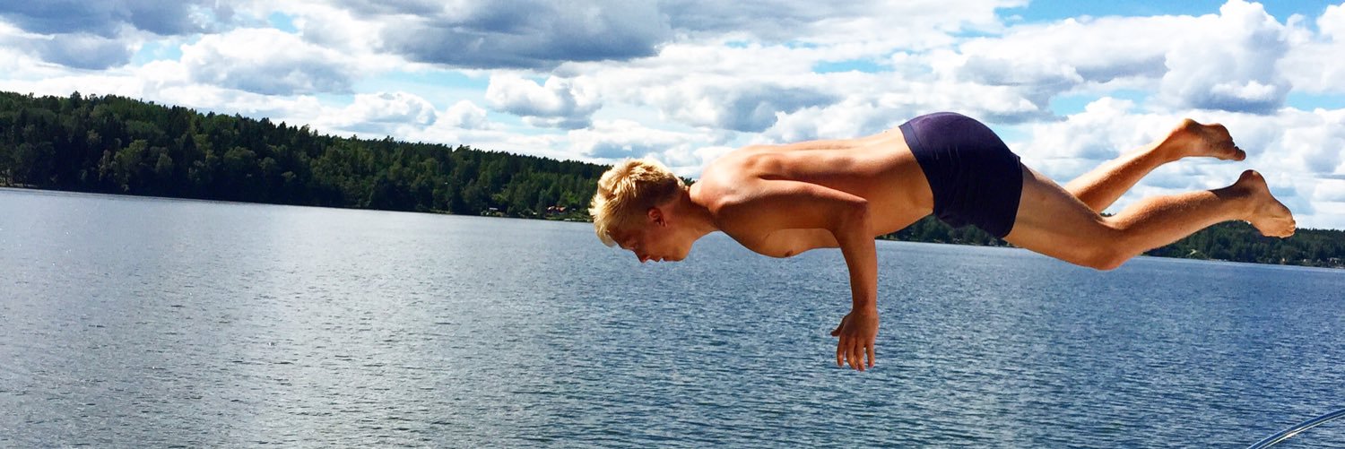 Erik Carlsson's banner
