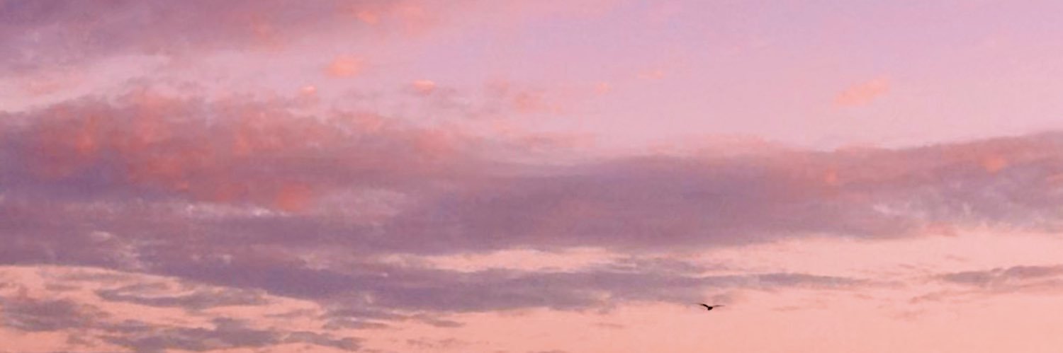𝓛𝓲𝓽𝓪 *✧'s banner