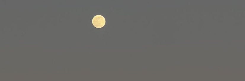 vale 🌷's banner