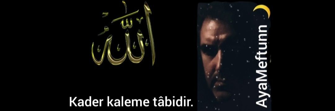 DeMir's banner