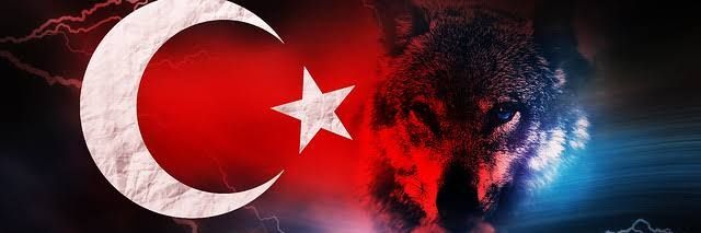 Saadettin SÖYLEM's banner