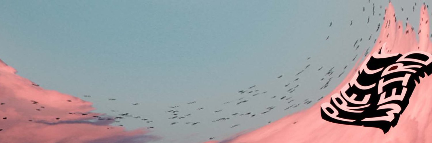 chloé robinson's banner
