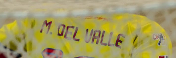 Manel's banner