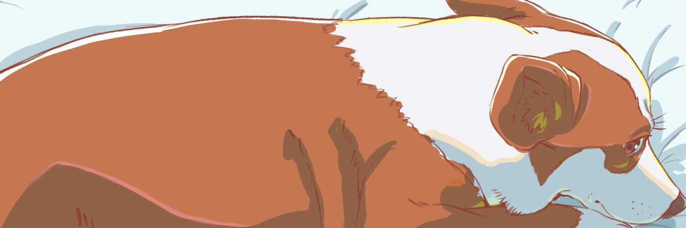 ぎゅーひー's banner