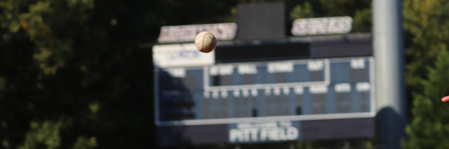 Richmond Baseball's banner