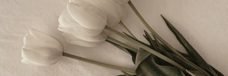 chloe's banner