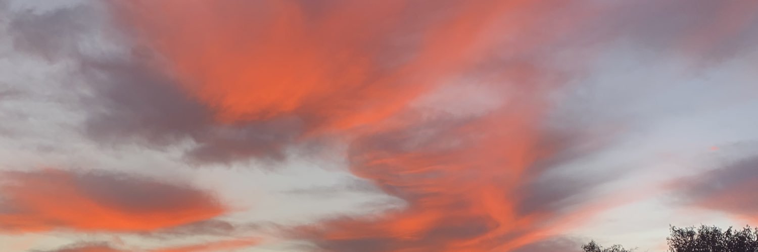 Mary Lynn Rajskub's banner