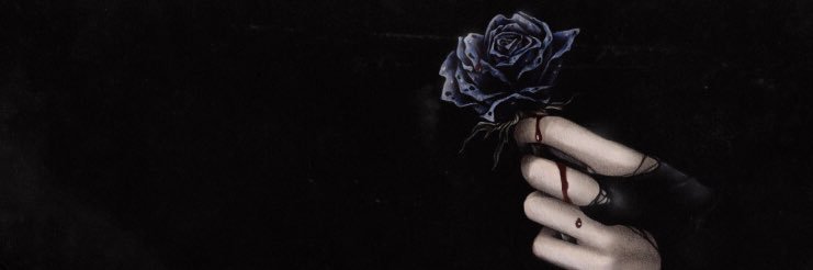 Nikita's banner