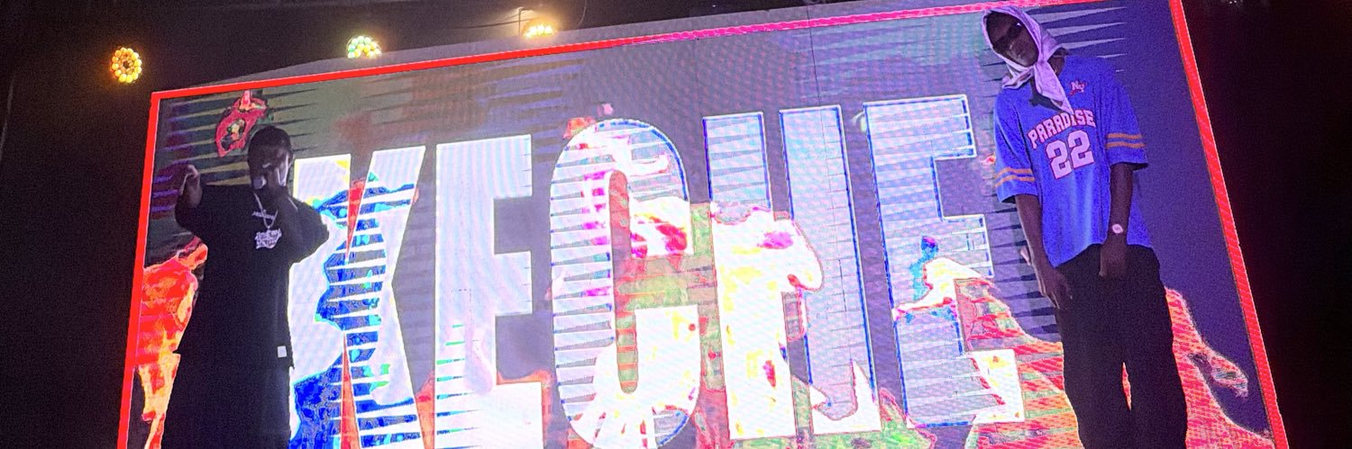 #TheSkillTeam's banner
