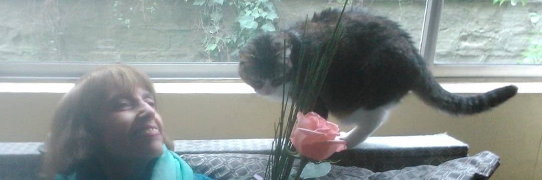 Seba Tetracampeon 16 ⭐🌳🐈‍⬛🐈‍⬛'s banner