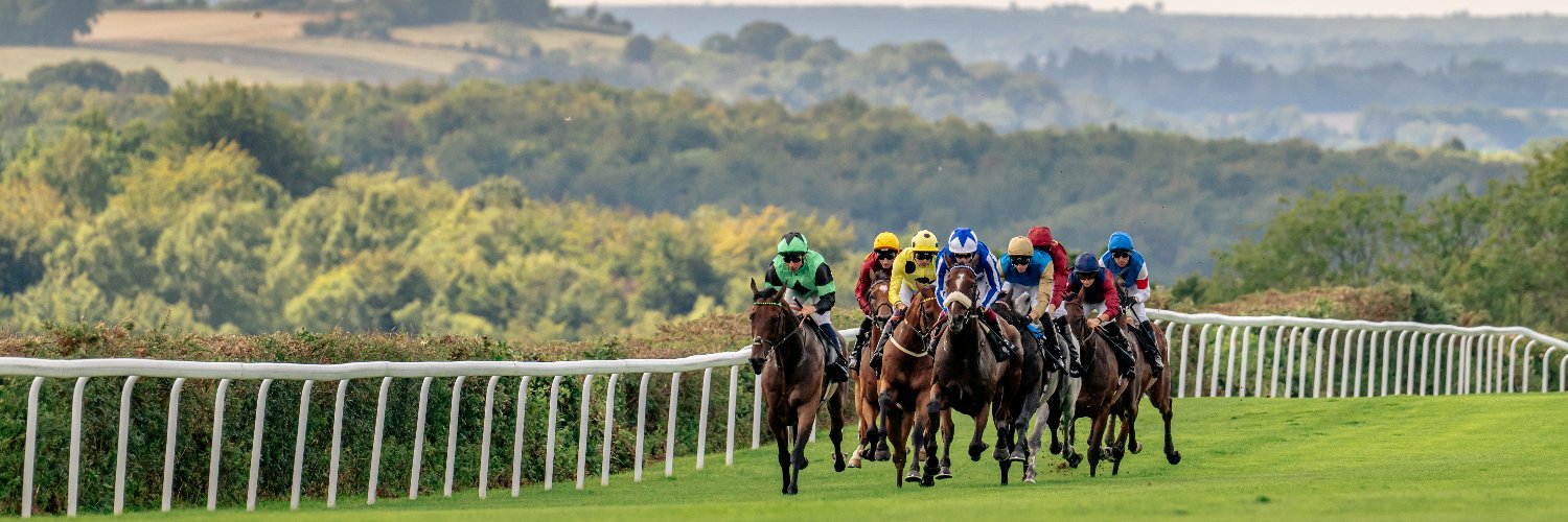 Goodwood Racecourse's banner