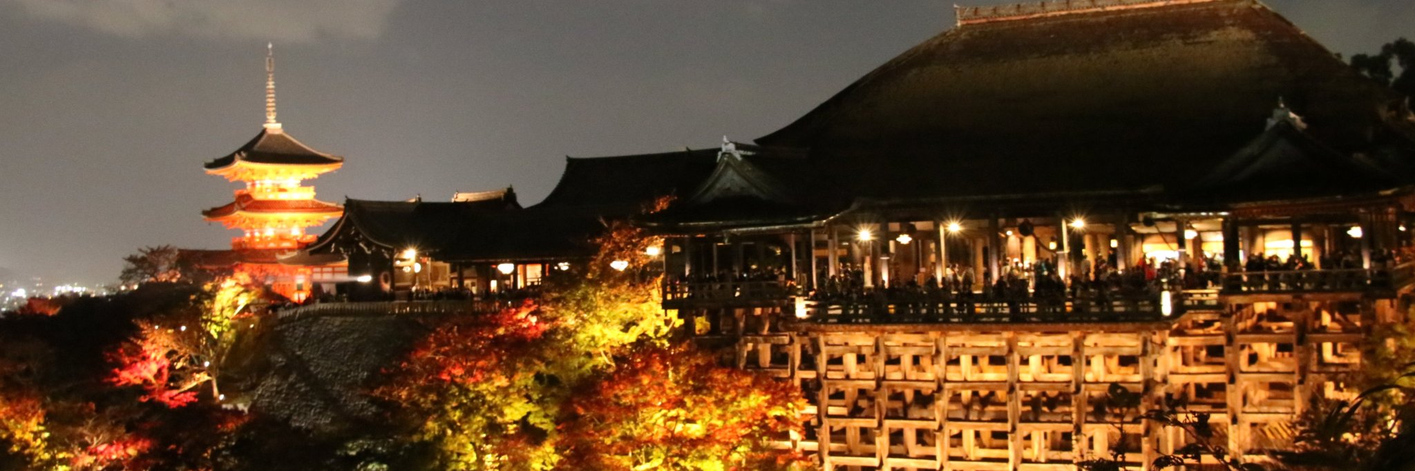 トトロ's banner