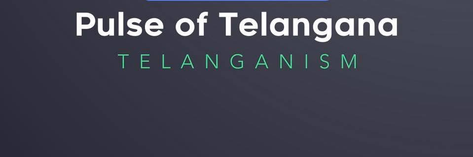 Pulse of Telangana's banner