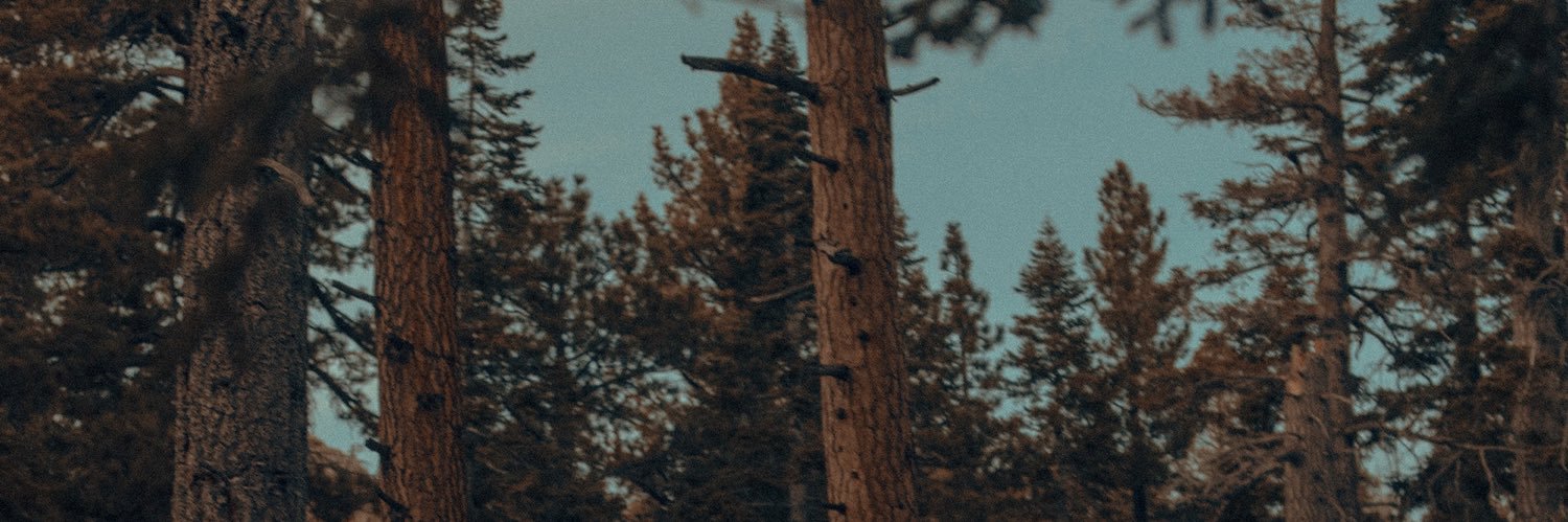 G°'s banner