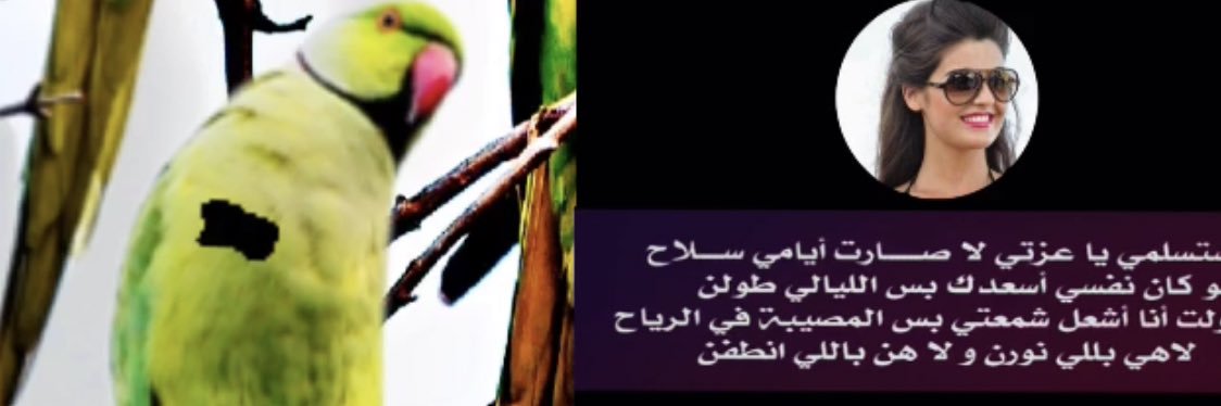 nada_abdullah177's banner