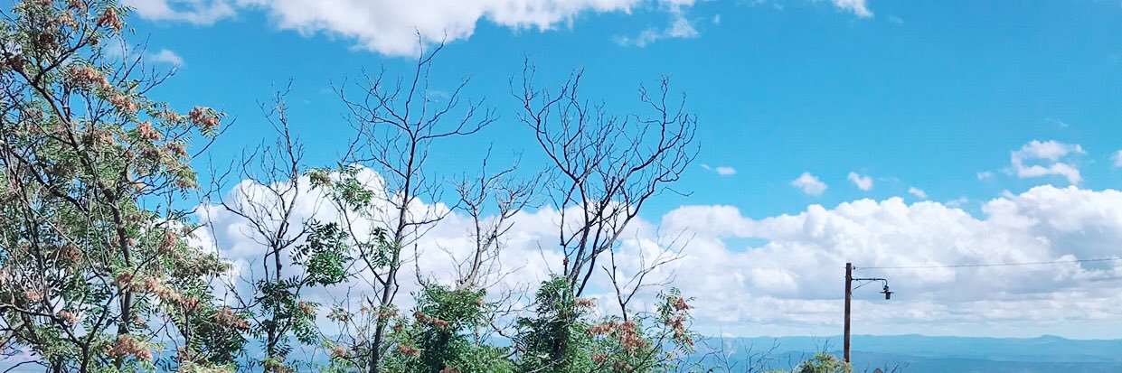 大平峻也's banner