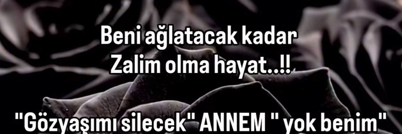 CeRen's banner