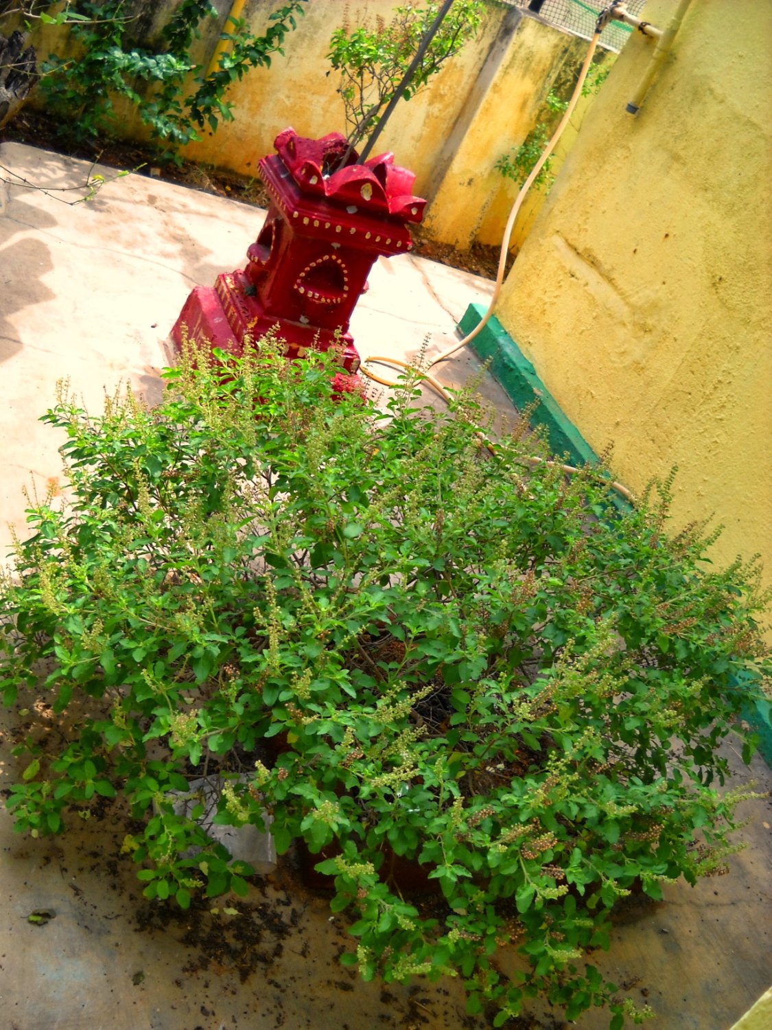 Dr.Prema lakshminarayana's banner
