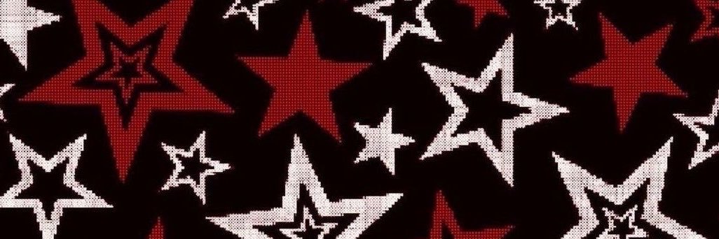 vik's banner